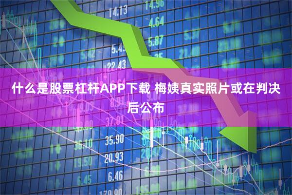 什么是股票杠杆APP下载 梅姨真实照片或在判决后公布