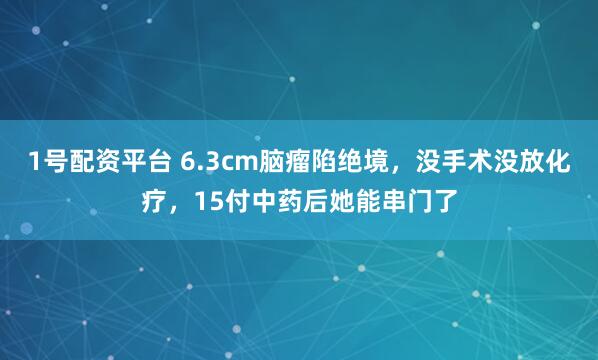 1号配资平台 6.3cm脑瘤陷绝境，没手术没放化疗，15付中药后她能串门了