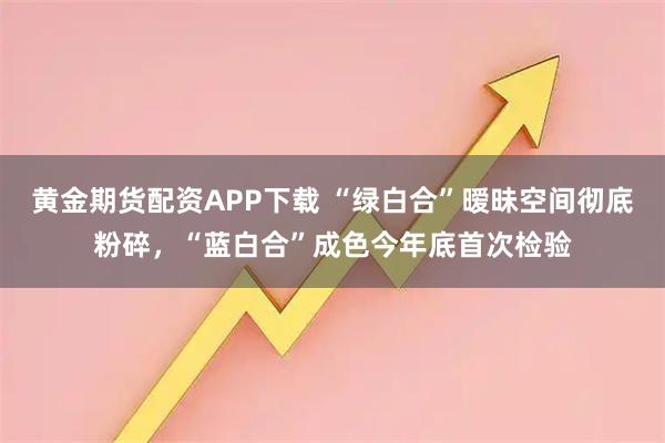 黄金期货配资APP下载 “绿白合”暧昧空间彻底粉碎，“蓝白合”成色今年底首次检验