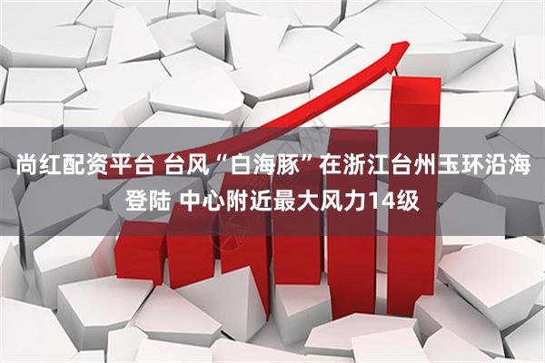 尚红配资平台 台风“白海豚”在浙江台州玉环沿海登陆 中心附近最大风力14级